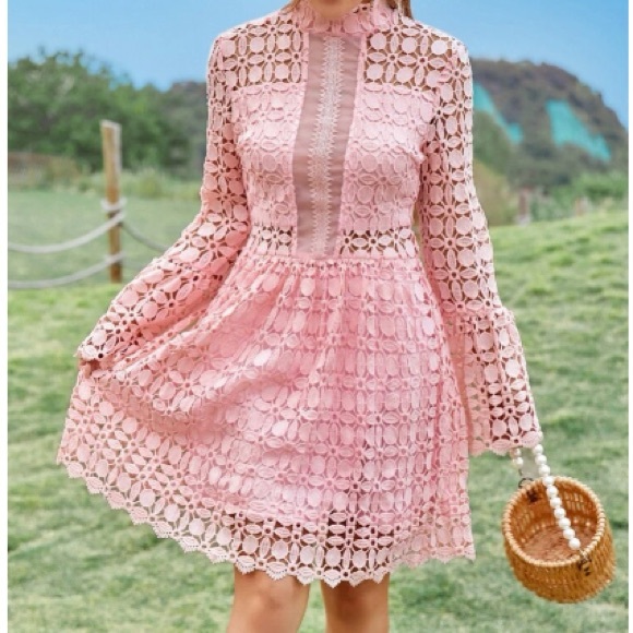 Luxurious mesh insert lace dress - Picture 4 of 6